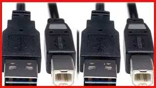 Tripp Lite Universal Reversible USB 2 0 Hi Speed Cable Reversible A to B MM 1 ft UR022 001