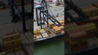 Maritime Friday. Container operations in action. #port #container #ship #vessel #cmacgm #crane