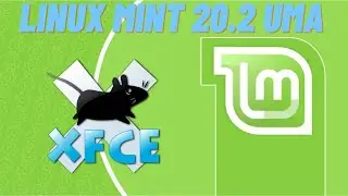 REVIEW LINUX MINT 20.2 UMA XFCE | APU AMD Athlon 5350 Com Radeon R3