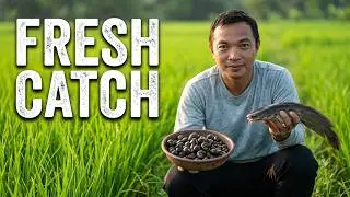 Solo Camping Catch & Cook in the Rice Fields