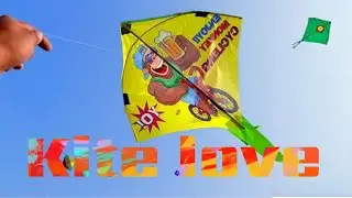 Kite Fainting Vlogs | Vishal Kite vlogs | kite festival video | Kite Cutting | Kite Vlogs 🪁|#kite330