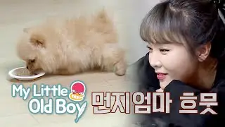 Munji~ You Want Some Food? He Dribbles His Bowl!! [My Little Old Boy Ep 177]