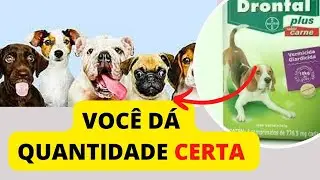 QUANDO DAR VERMÍFUGO PARA CACHORRO QUAL MELHOR REMÉDIO BARATO MATA VERMES DOS CÃES E DOSE DE DRONTAL