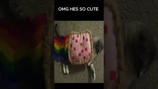 DANYAN CAT :)  #funny #memes  #fypシ゚viral #cat