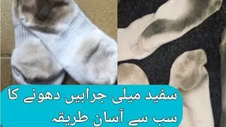 How to Clean White Dirty Socks Easily  .Secret of white bright socks