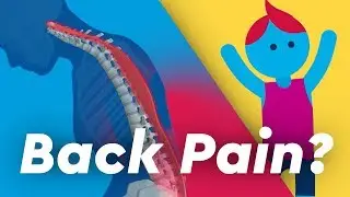 How to Prevent and Reduce Muscular Back Pain