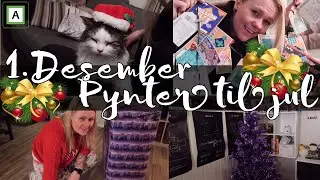 24 Flaxlodd, pynter til jul & pynter Sam! *VLOG*