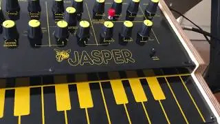 RE-303 and Jasper Synthesizer