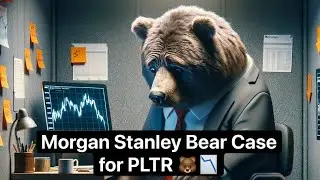 Morgan Stanley Explains: NEW Bear Case After PLTR Earnings