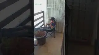 que colaje