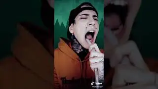 Handsome Voice