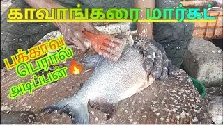 🤩SATISFYING SCALING FISH LIKE a PRO 🐟 | Fast & Clean Method @CosmicBangs 