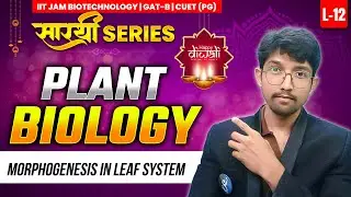Morphogenesis In Leaf System | Plant Biology | IIT JAM BT | GATB | CUTE PG | सारथी SERIES |L12 |IFAS
