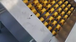 Electronic Egg Br&ouml;ring Technology GmbH Echtzeit&uuml;berwachung Effizienz-Einblicke Eiersortiermaschinen