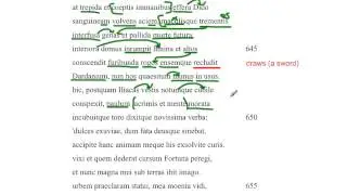 Aeneid, Book 4, Lines 642-671