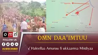 OMN Daa&rsquo;imtuu Torbanii: Haleellaa Amuruu fi ukkaamsa Miidiyaa (Sep 03, 2022)