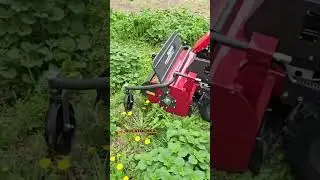 Що краще? Мульчер чи газонокосарка