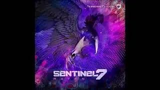 Sentinel 7 - Raven