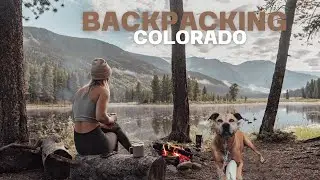 Dogs FIRST Backpacking Trip - Collegiate Peaks Wilderness Colorado