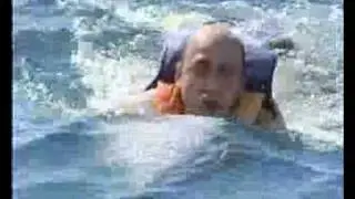 swim with dolphin