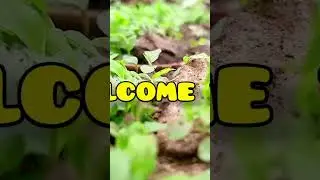 Vlog short video 📷📸📷 #2024 #harivlog #minivlog