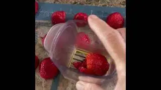 cup slicer demo #howipamperedchef #letsgetcooking #letsgetcookingtogether