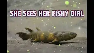 PINK PONY CLUB but it&rsquo;s about fish evolving legs 