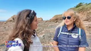 Vivez la Vendée : Les meilleurs conseils d'une naturaliste pour vos sorties océan