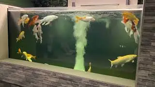 The Koi Pond&hellip;. View Through A Window
