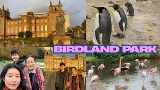 Blenheim Palace Tour, Cotswold Birdland Park, and Burton on the Water Model Village Garden.