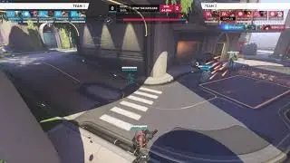 average zen players