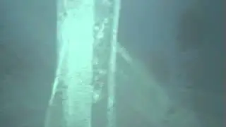 Investigation of the inside of Unit 3 spent fuel pool using an underwater camera at TEPCO NP (2)