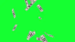 Dinero Green Screen - Pantalla Verde