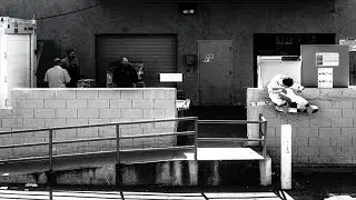WEFRIED | TransWorld SKATEboarding