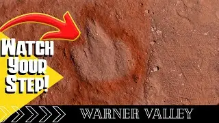 Feel like a Kid again! Trace the Steps of Dinosaurs in Warner Valley! Near St. George Utah