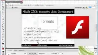 07 Video formats