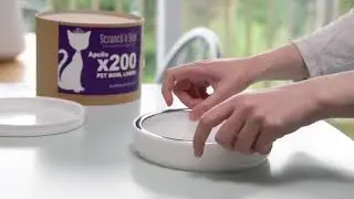 MyFussyCat cat bowl system with disposable liners.