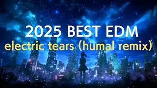 【心踊るEDM】electric tears (humal remix) / produce by humal