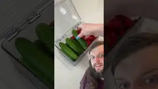 I&rsquo;ll scream if I see another container