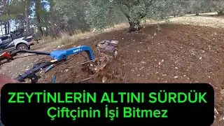&Ccedil;APA MOTORU İLE ZEYTİNLERİN ALTINI S&Uuml;RME, &Ccedil;OCUKLARLA, MASADA DEĞİL, TARLADA &Ouml;ĞRENİLİR.