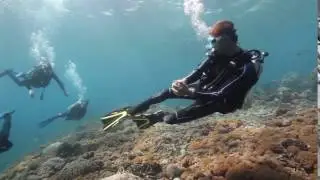 Guided fun dives in Nusa Penida Marine Protected Area with Blue Corner Dive