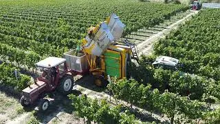 FENDT 211 + GREGOIRE G3 LA GAZZA