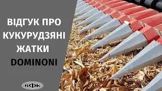 ВІДГУК: кукурудзяні жатки Dominoni -  ефективність, що перевірена часом!