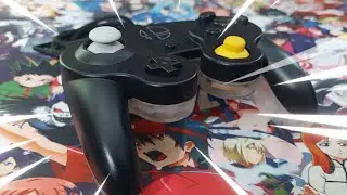 Давайте настроим контроллер GAMECUBE