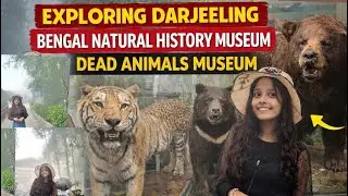 Bengal Natural History Museum ||Darjeeling Vlog 🗻|Dead  Animals Museum||Watch till the end