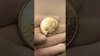 1 ДОЛЛАР 1921 МОРГАН ДОЛЛАР #нумизматика #coin #usgold #gold #монеты #money #numismatics #goldcoin