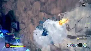 Ss