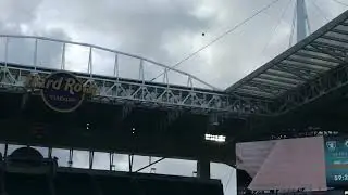 Thomas Morstead LAUNCHES punt in pregame warmup VS Raiders