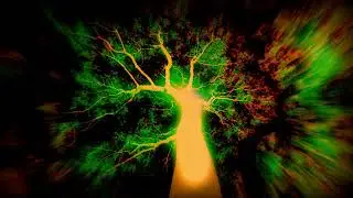Space Biology - Brainstorm