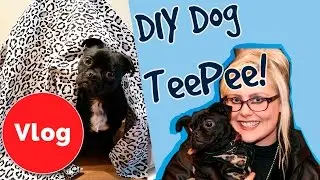 How to Make a DIY Doggy Teepee!
